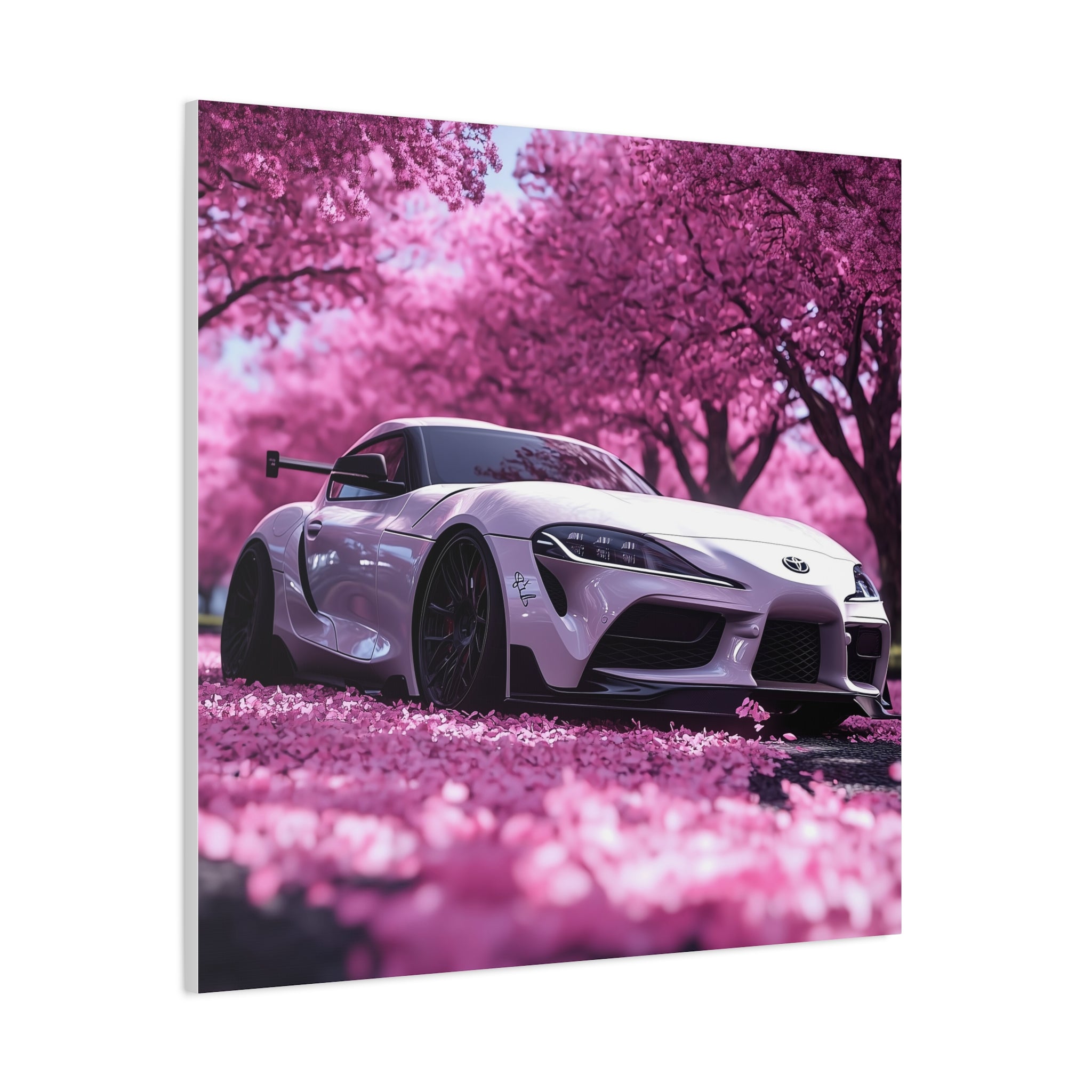Toyota Supra in Cherry Blossom Field