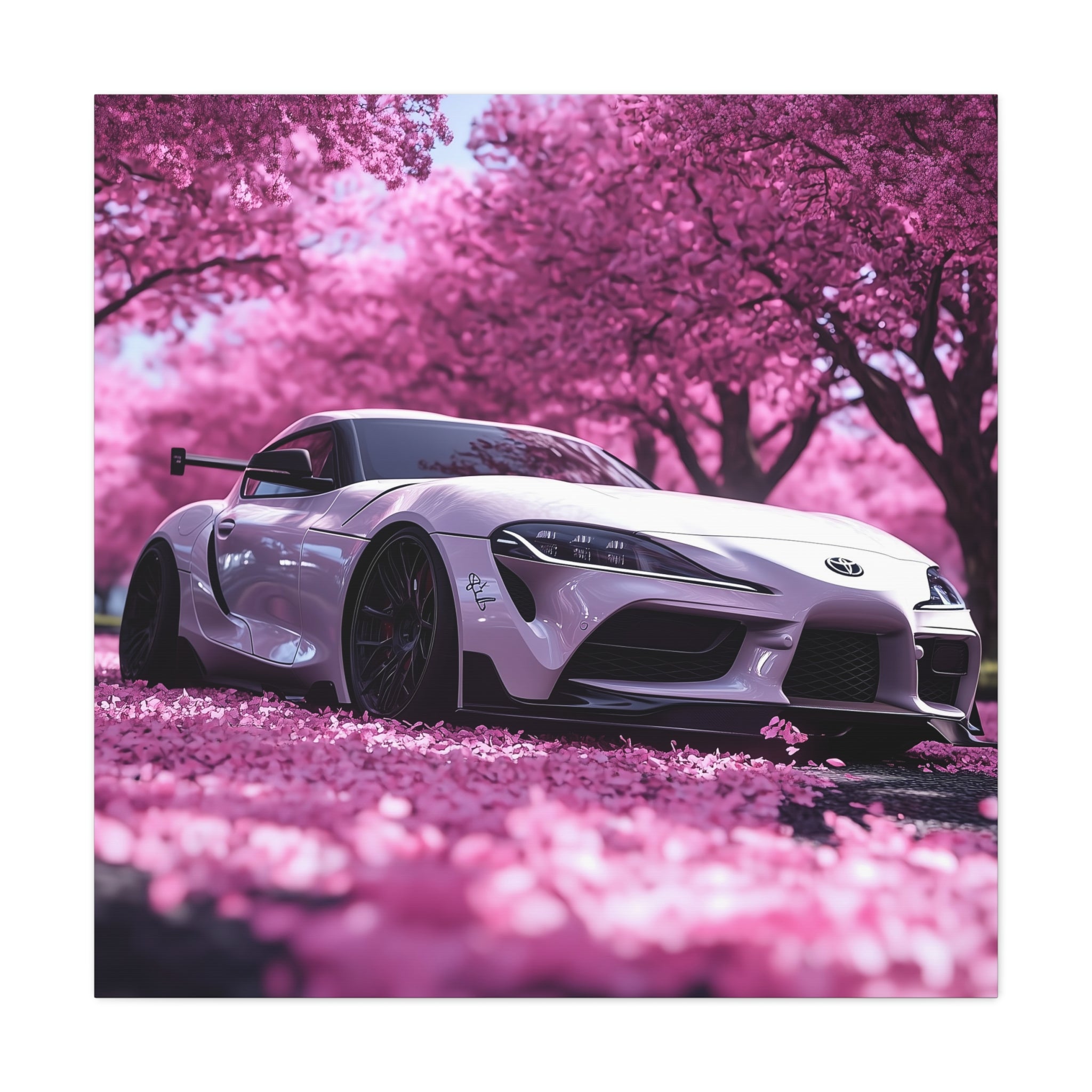 Toyota Supra in Cherry Blossom Field